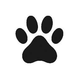 Saving Drogo & All Pets